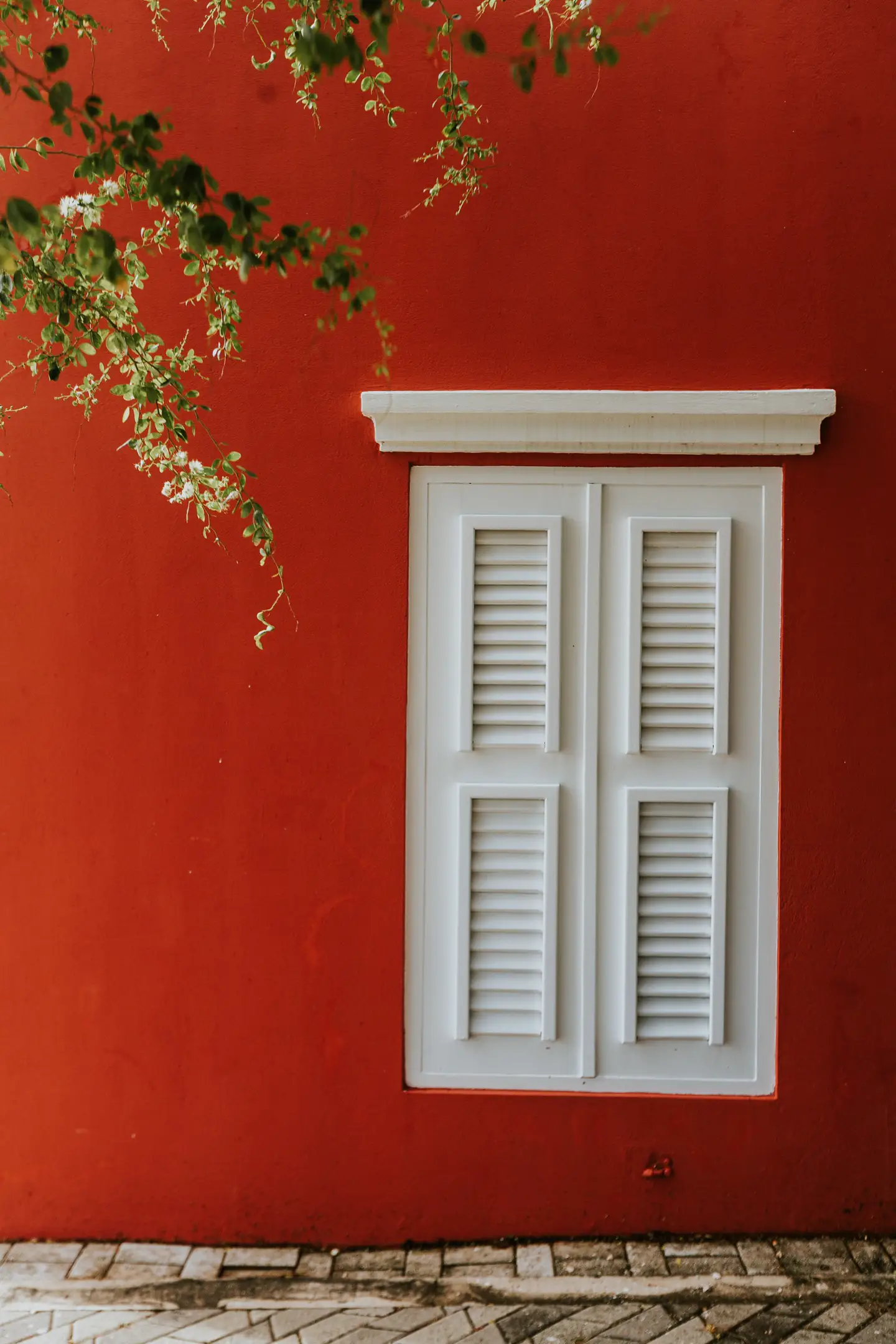 Red window on a painted wall in Aruba